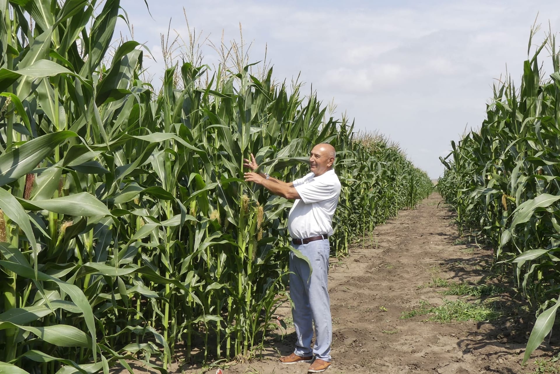 Кваліфікаційна експертиза