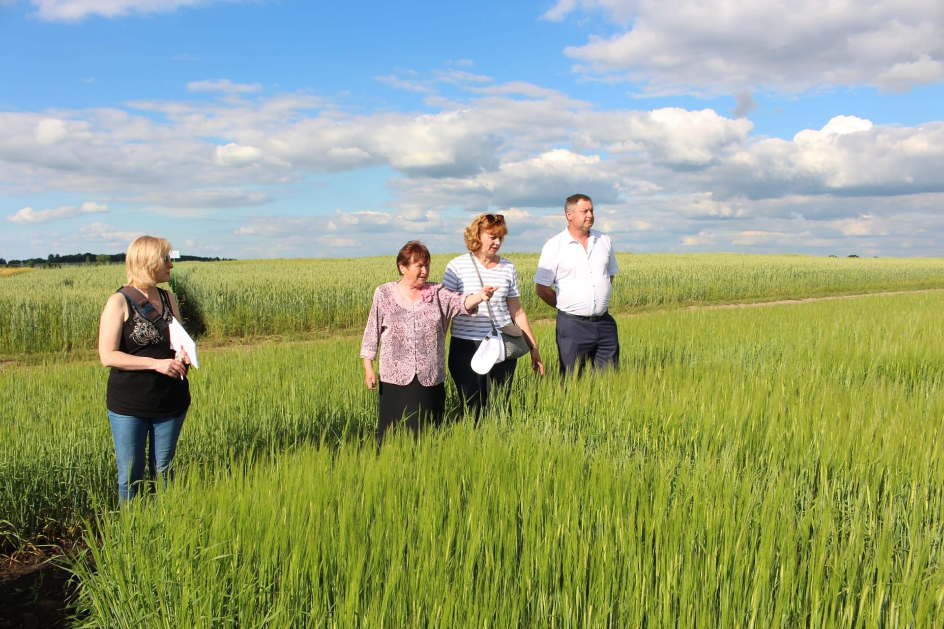 Кваліфікаційна експертиза