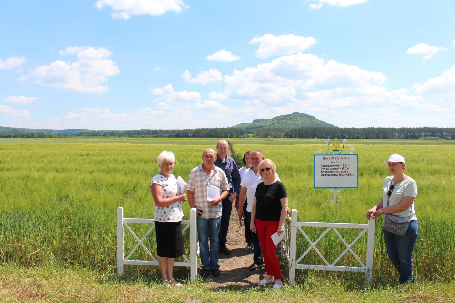 Кваліфікаційна експертиза