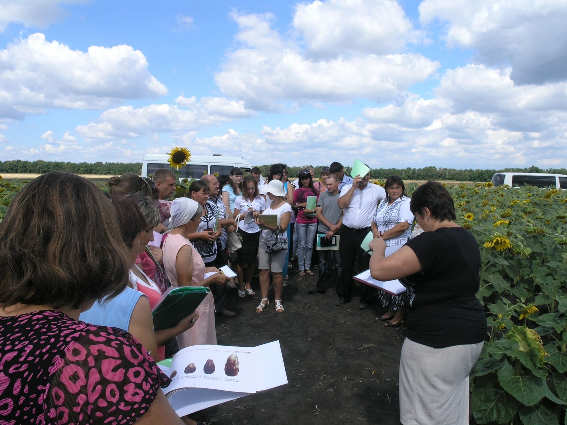 Кваліфікаційна експертиза