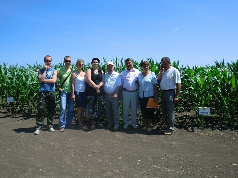 Кваліфікаційна експертиза