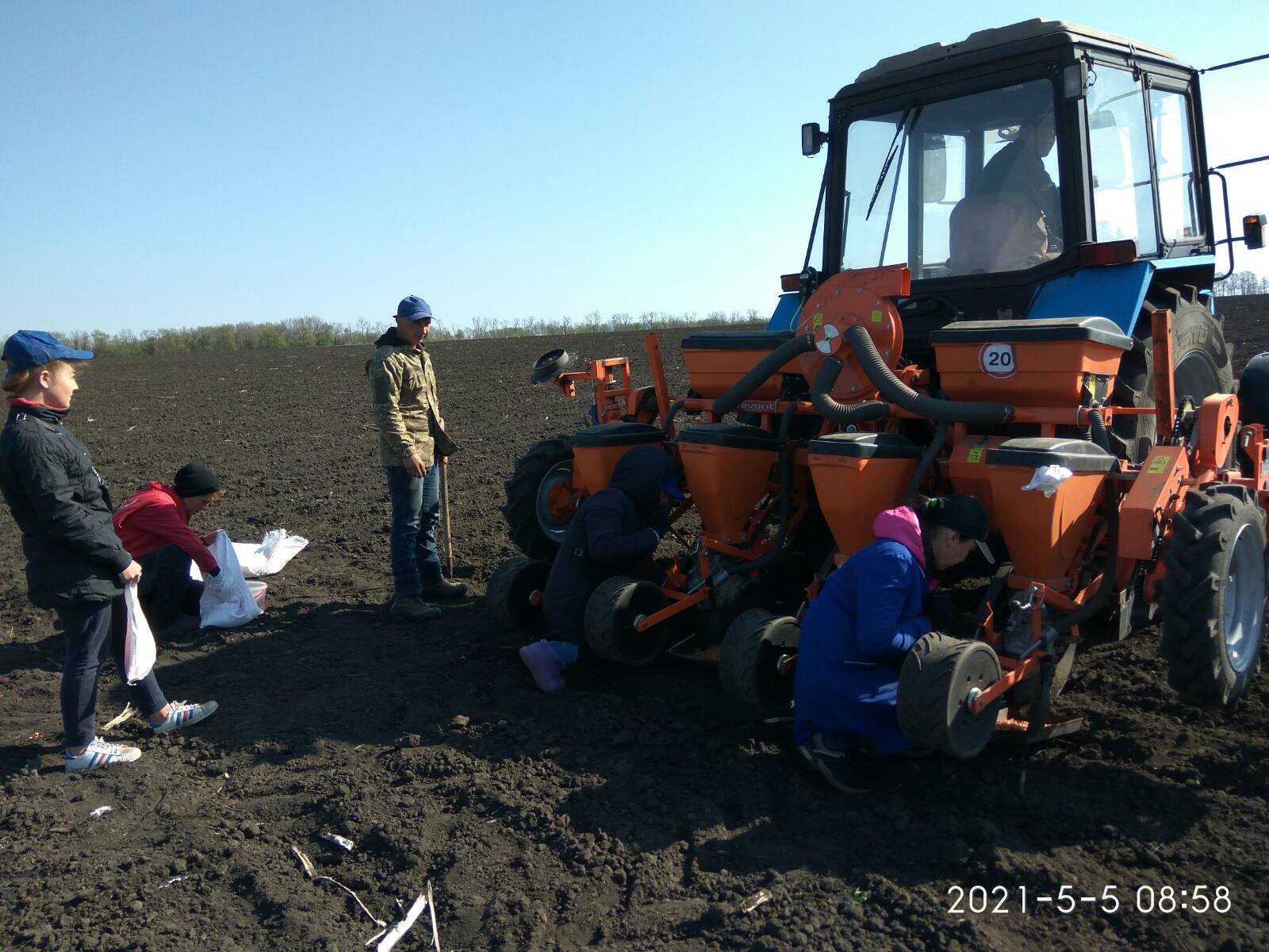 Кваліфікаційна експертиза