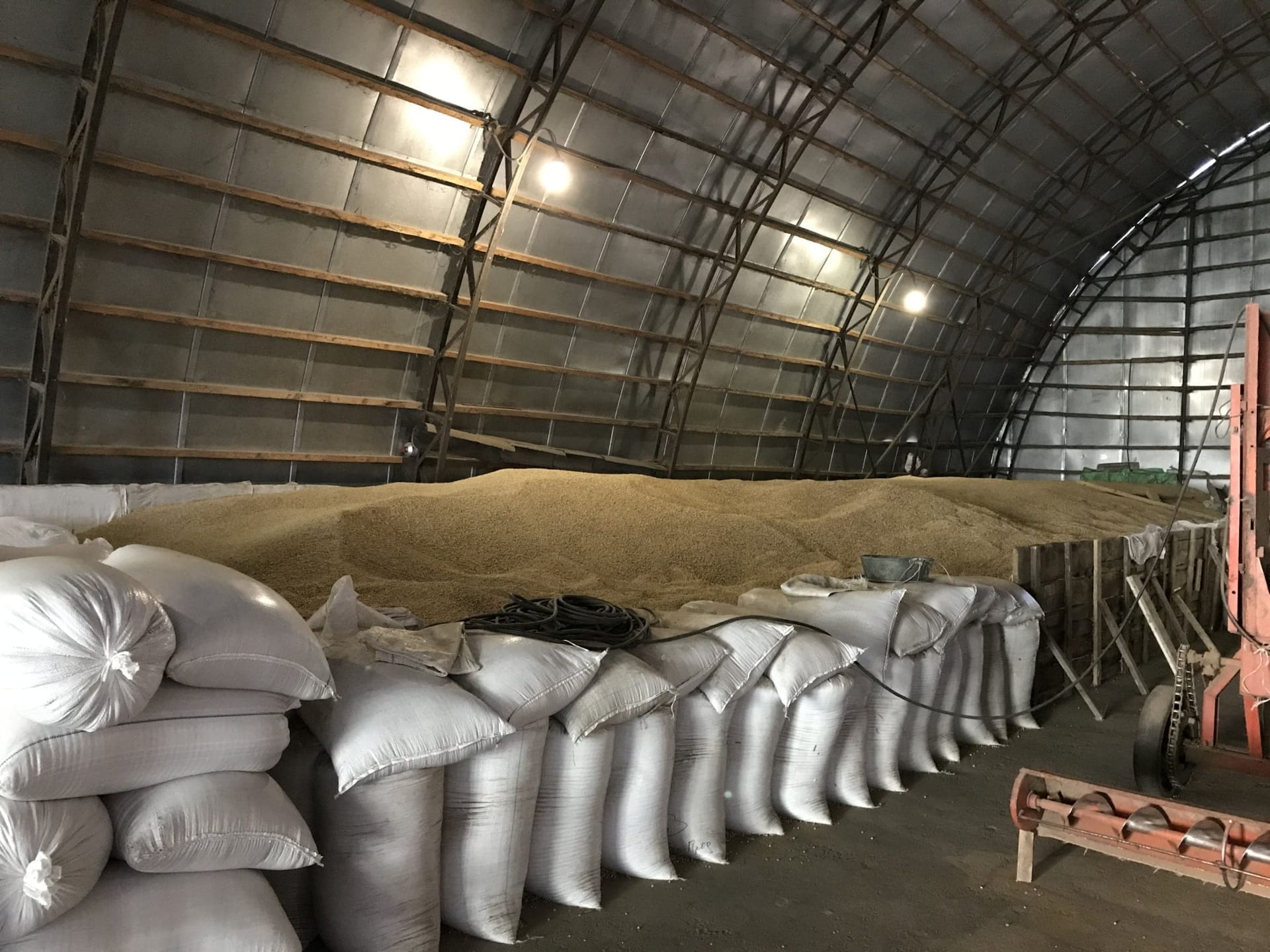 Кваліфікаційна експертиза