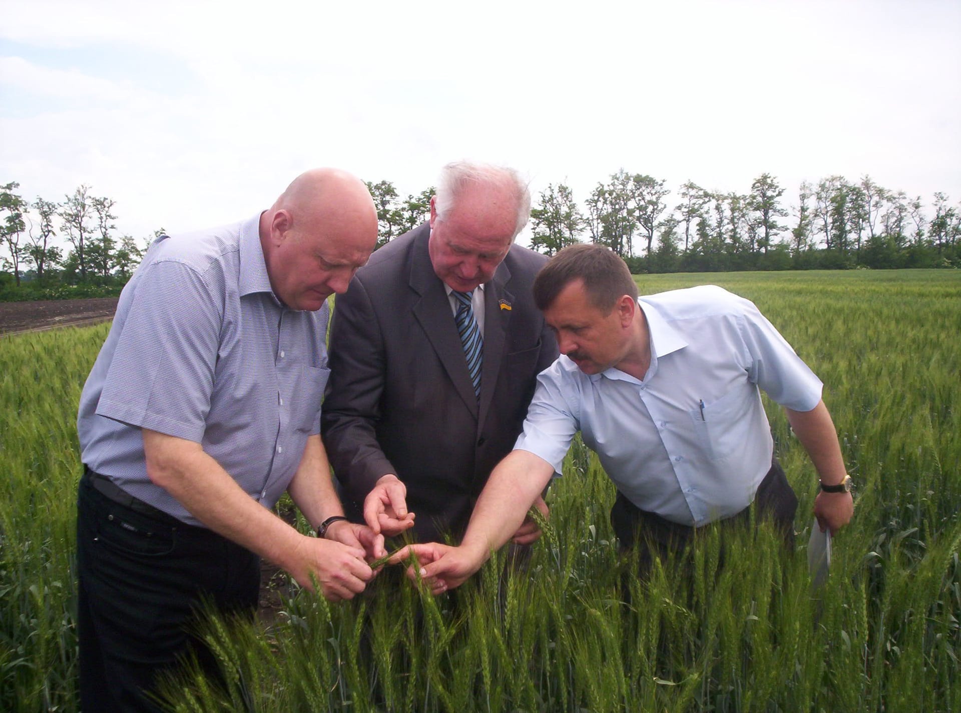 Кваліфікаційна експертиза