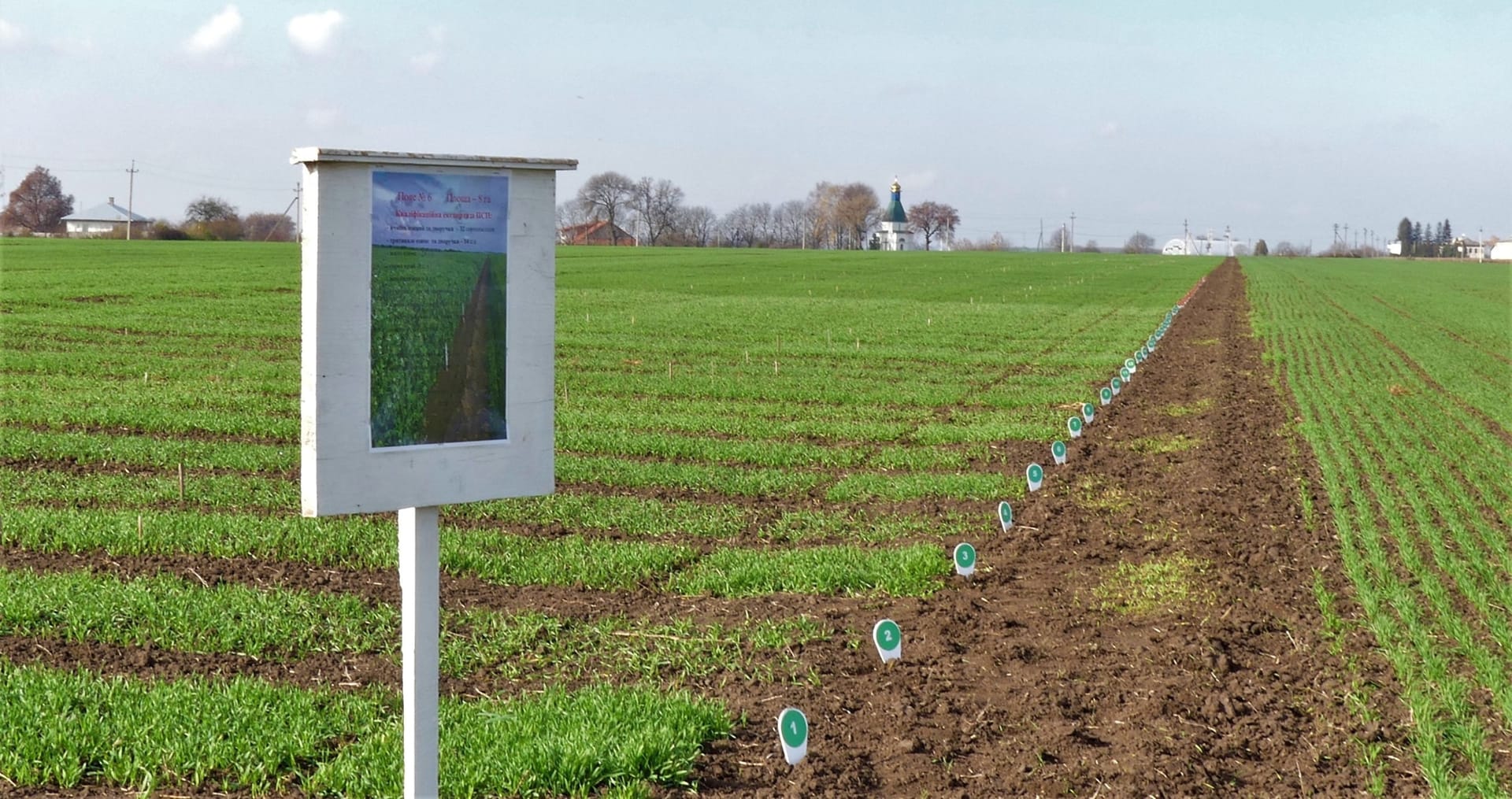 Кваліфікаційна експертиза