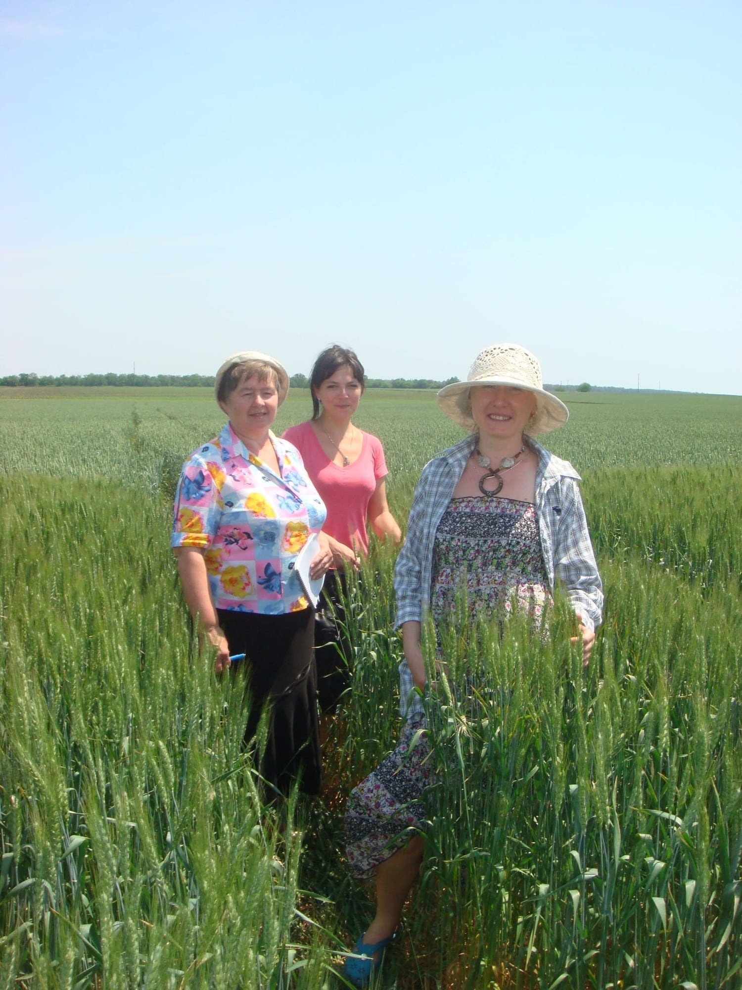 Кваліфікаційна експертиза