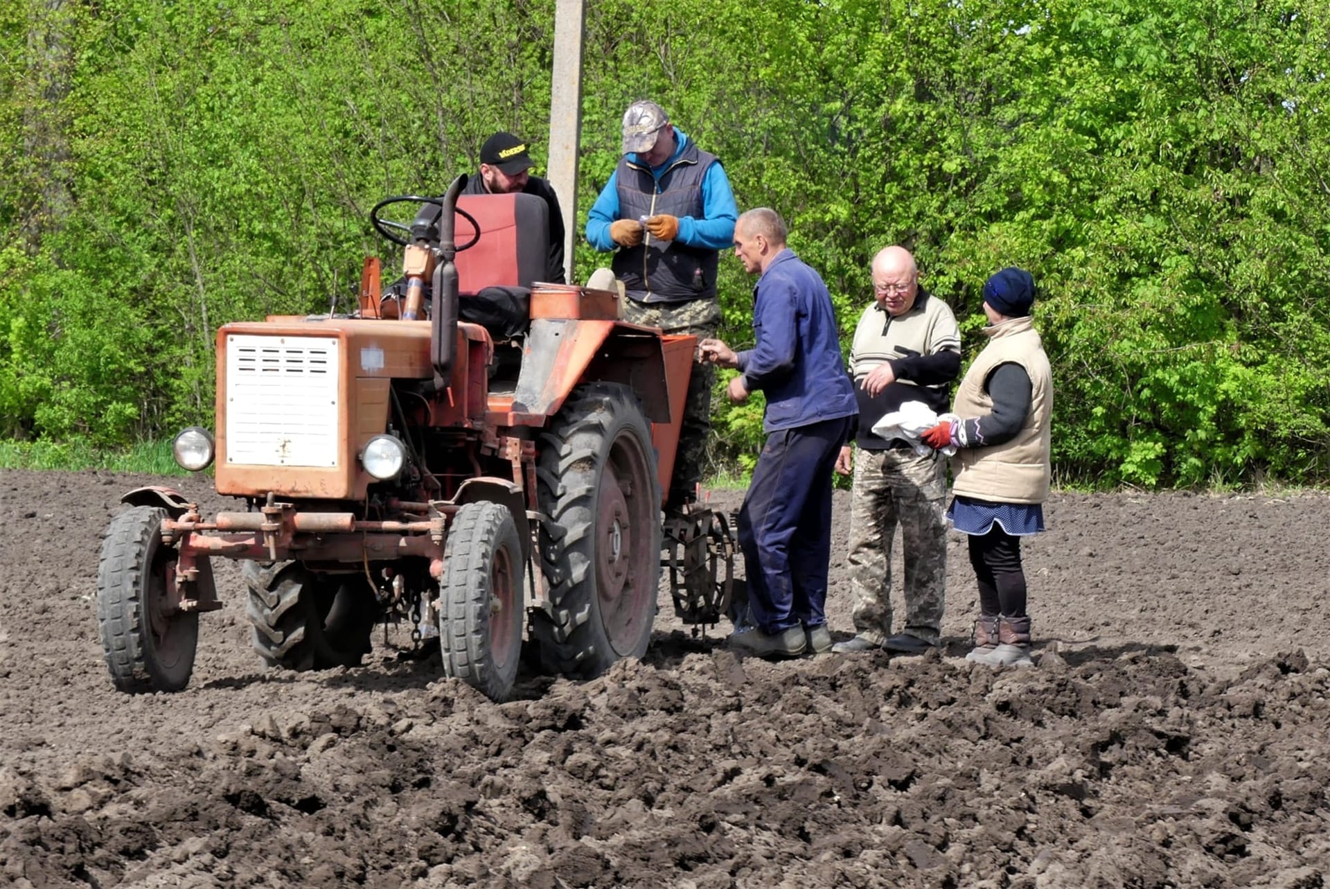 Кваліфікаційна експертиза