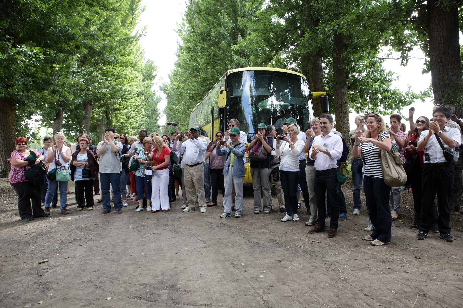 Сорти рослин