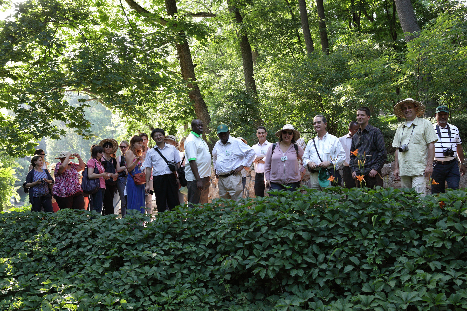 Сорти рослин