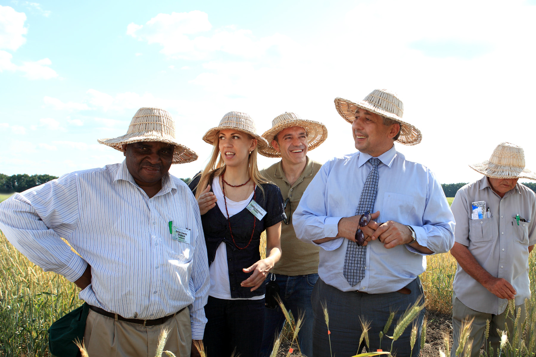 Сорти рослин